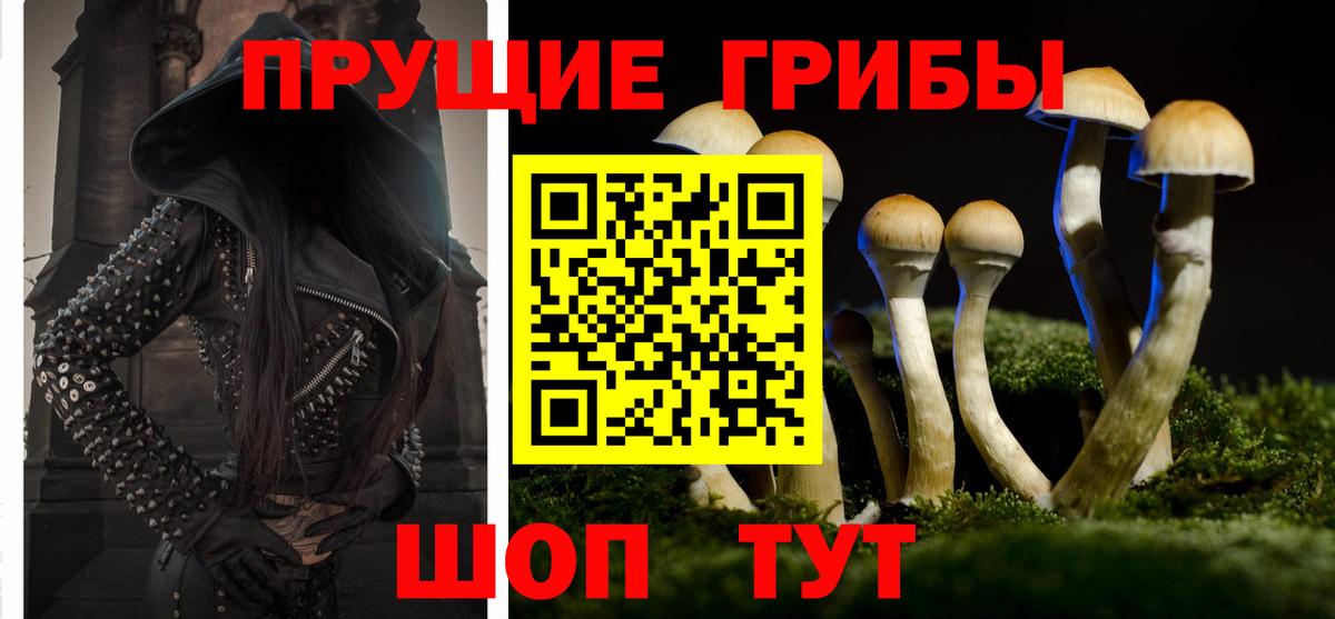 Галлюциногенные грибы мухоморы Мариинск